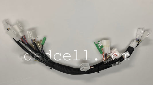 RCR Wiring Harness - Kelly